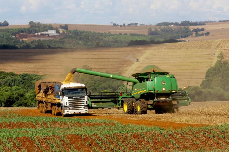 Soja e milho impulsionam produção paranaense com estimativa de 39,1 milhões de toneladas
