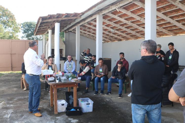 Uso de bioinsumos na agricultura