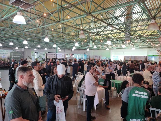 Feira Sabores do Paraná em Paranavaí consolida força da agroindústria familiar