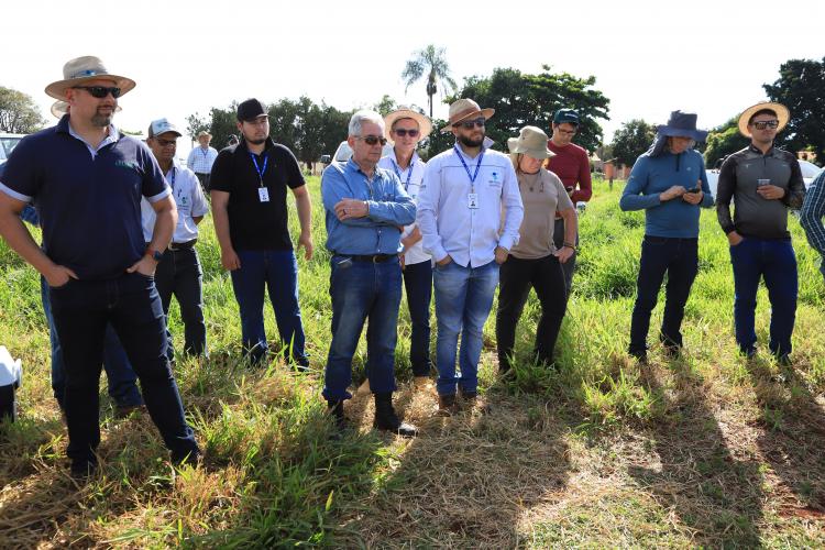 IDR-Paraná promove capacitação estratégica em terraceamento e conservação de solos