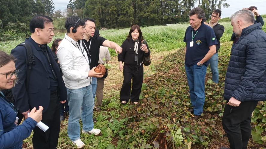 IDR-Paraná recebe missão técnica da República da Coreia para intercâmbio em pesquisa agropecuária