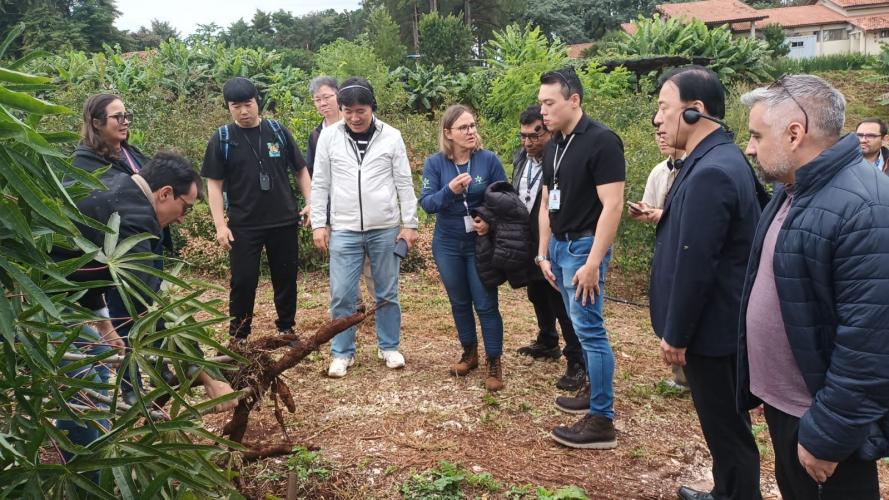 IDR-Paraná recebe missão técnica da República da Coreia para intercâmbio em pesquisa agropecuária