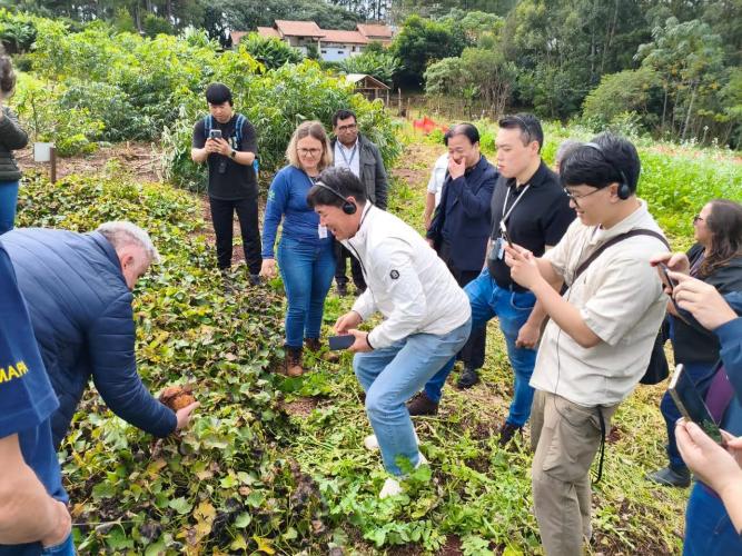 IDR-Paraná recebe missão técnica da República da Coreia para intercâmbio em pesquisa agropecuária