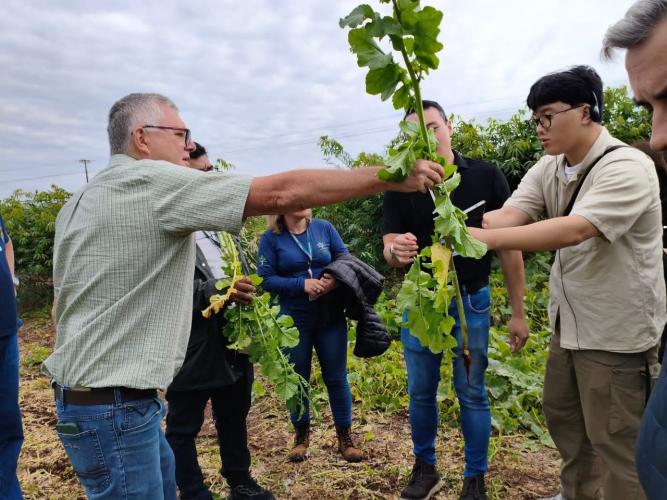 IDR-Paraná recebe missão técnica da República da Coreia para intercâmbio em pesquisa agropecuária