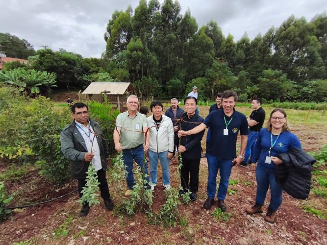 IDR-Paraná recebe missão técnica da República da Coreia para intercâmbio em pesquisa agropecuária