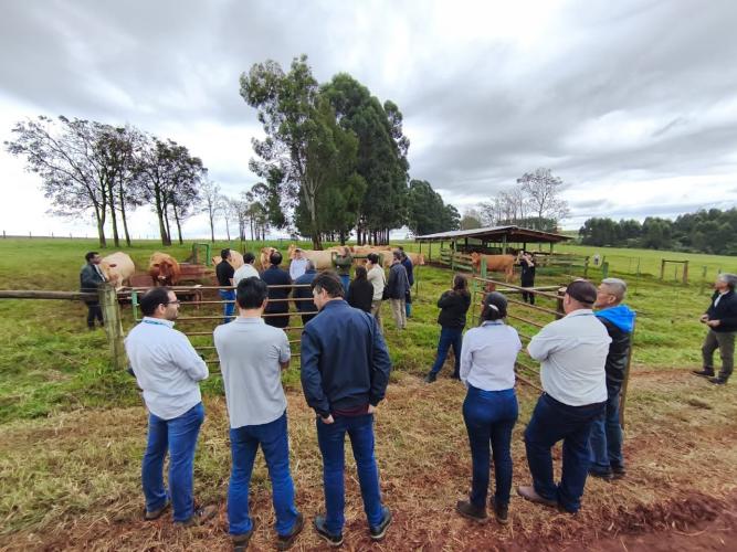 IDR-Paraná recebe missão técnica da República da Coreia para intercâmbio em pesquisa agropecuária