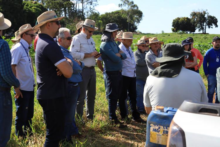 IDR-Paraná promove capacitação estratégica em terraceamento e conservação de solos
