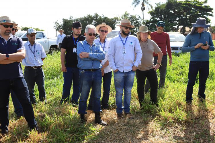 IDR-Paraná promove capacitação estratégica em terraceamento e conservação de solos