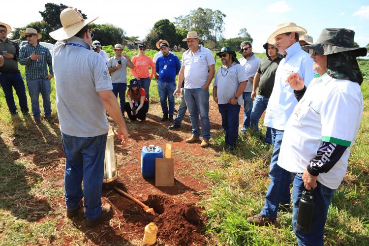 IDR-Paraná promove capacitação estratégica em terraceamento e conservação de solos
