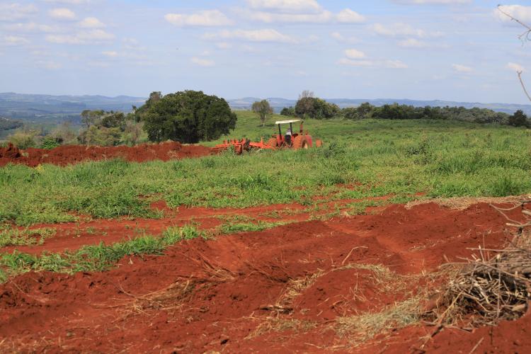 IDR-Paraná promove capacitação estratégica em terraceamento e conservação de solos