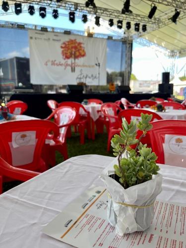Outono Gastronômico de Japurá valoriza produtos regionais