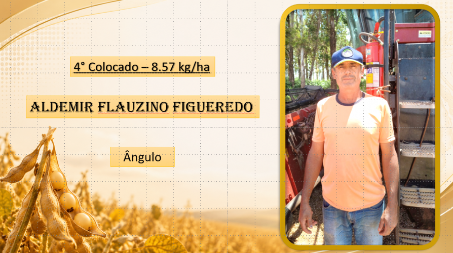 Cuidado na colheita aumenta renda do produtor