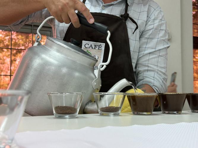 Especialistas analisam qualidade do café