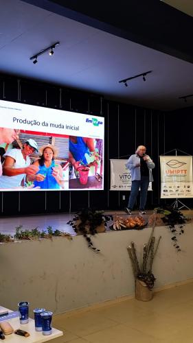 Curso sobre novos materiais de mandioca e batata-doce