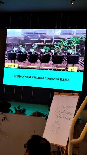 Novo material é apresentado a produtores de Cascavel