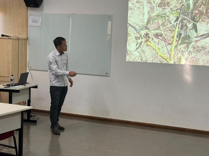 Curso fortalece o cultivo de mandioca de mesa