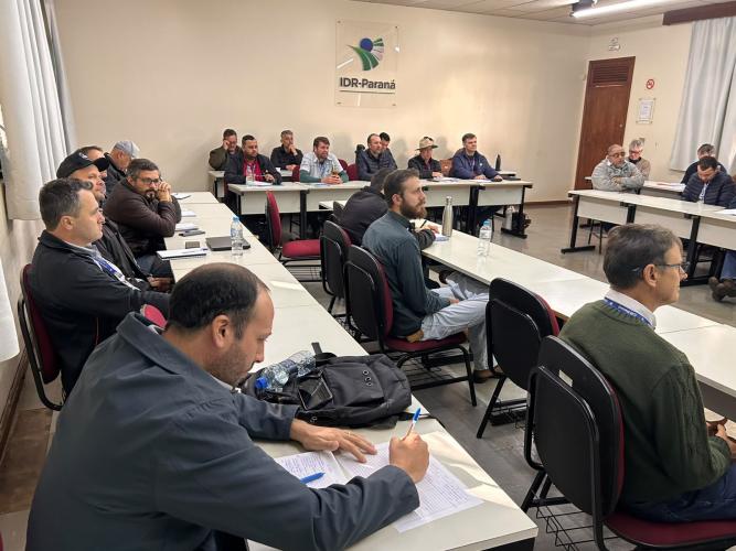Extensionistas serão referência no cultivo de mandioca de mesa