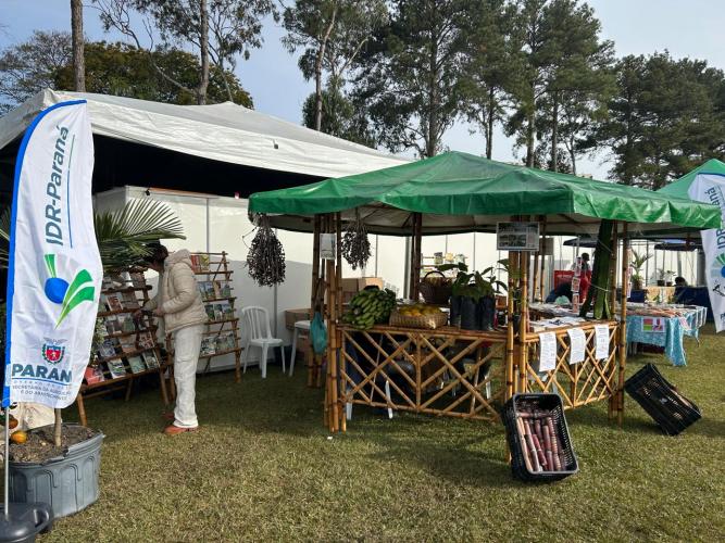 Jornada de Agroecologia