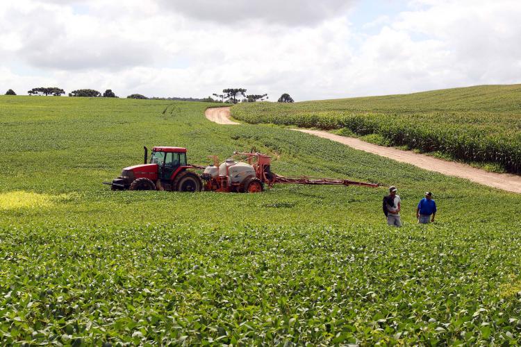 Complexo soja impulsiona agronegócio do Paraná com exportação de US$ 2,94 bilhões até maio