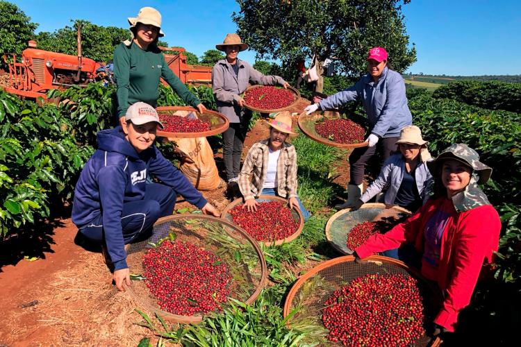 Feira da Agroindústria Familiar reúne produtores e valoriza protagonismo das mulheres rurais