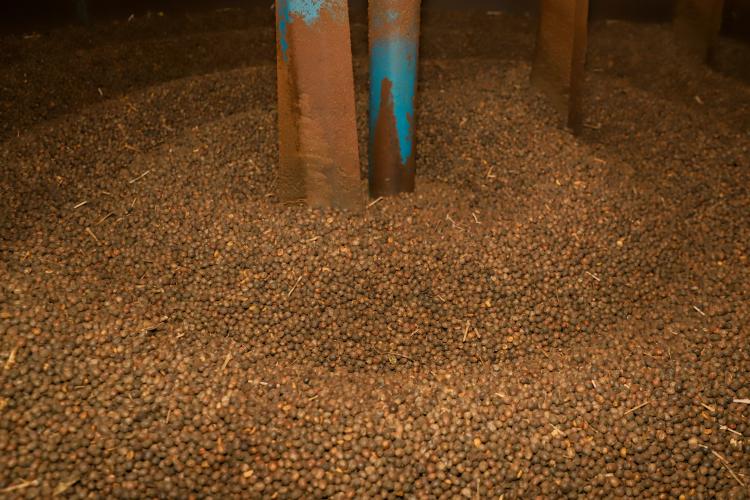 Café mais barato na prateleira e soja em alta nas exportações, mostra boletim do Deral
