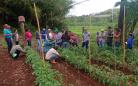 IDR-Paraná investe em capacitação para incentivar a produção agroecológica