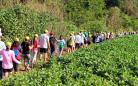 Turismo no campo: 56 mil pessoas participaram das Caminhadas na Natureza em 2022