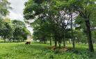 agroecologia