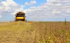 Plano Safra nacional terá R$ 516,2 bilhões; agricultura familiar fica com R$ 89 bilhões