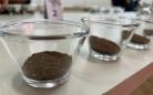 IDR-Paraná abre inscrições para curso de classificação e degustação de café