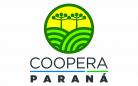 Coopera Paraná abre edital e vai liberar R$ 100 milhões para projetos de cooperativismo na agricultura familiar