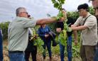 IDR-Paraná recebe missão técnica da República da Coreia para intercâmbio em pesquisa agropecuária