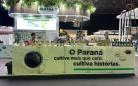 Inscrições abertas: Governo do Paraná abre vagas para produtores de café na Semana Internacional do Café 2026