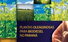 Livro do IDR-Paraná sobre biodiesel é destaque em prêmio nacional 