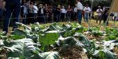 Demonstrações de agricultura sustentável na bacia do rio Miringuava celebram o Dia Mundial da Água