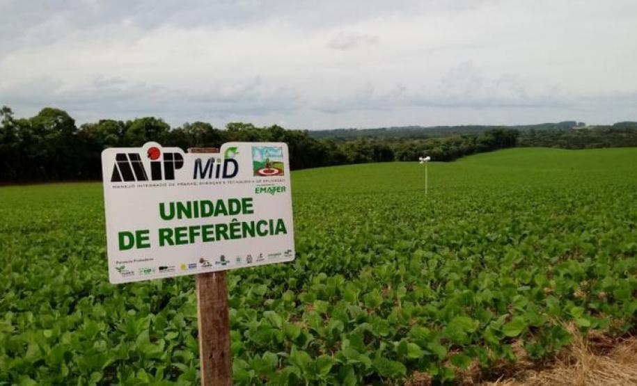 Grãos - Soja e Milho - 01