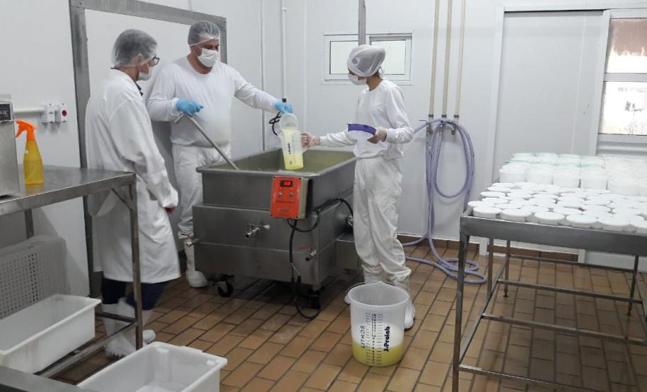 Produção de queijos no distrito de Paiquerê Londrina