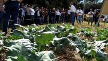 Demonstrações de agricultura sustentável na bacia do rio Miringuava celebram o Dia Mundial da Água