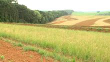 IDR-Paraná promove capacitação estratégica em terraceamento e conservação de solos