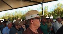 V DIA DE CAMPO INTEGRA ARENITO em Xambrê - IDR-Paraná e ATIMOP