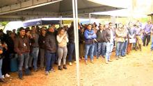 Dia de campo divulga práticas orgânicas na região de Santo Antônio da Platina