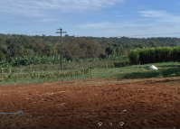 Polo de Pesquisa do IDR-Paraná de Pato Branco destina áreas exclusivas para agroecologia