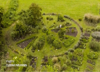 Mandala medicinal é verdadeiro relógio com plantas naturais