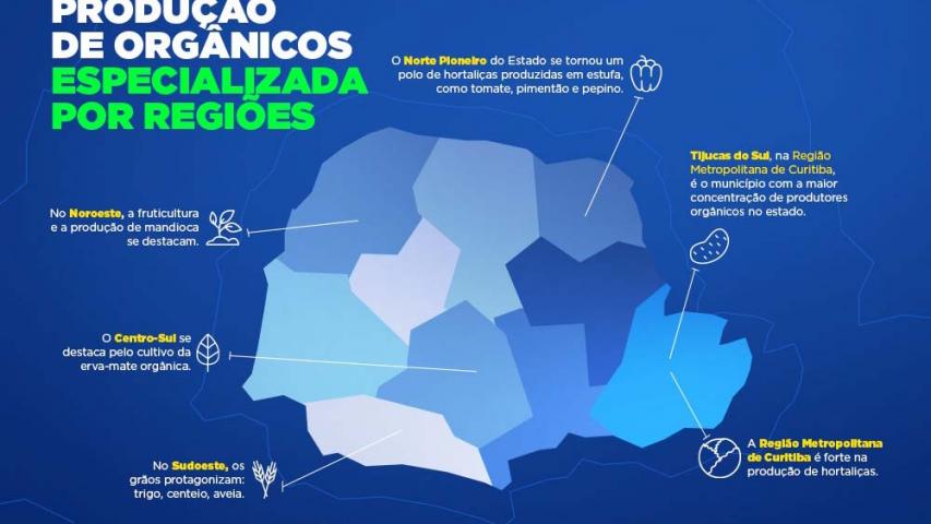 Líder nacional em alimentos orgânicos, Paraná investe para ampliar produção e consumo