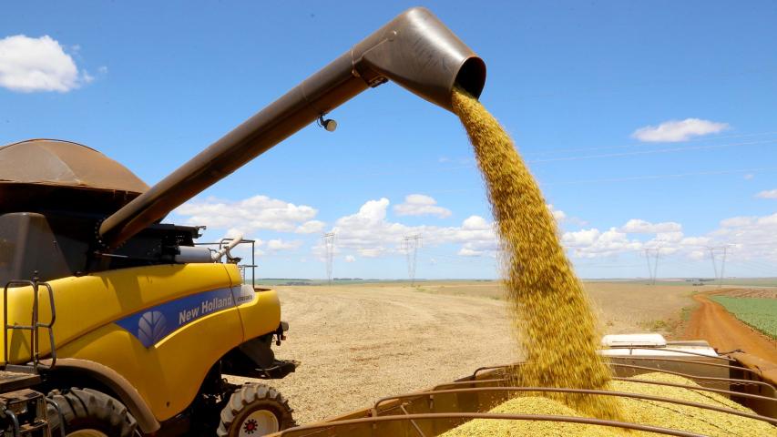 Com colheita avançada, relatório confirma maior safra de soja da história do Paraná