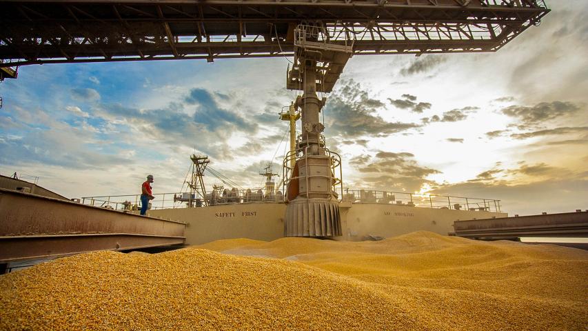 Com crescimento de 77% em 2024, Paraná ocupa segundo lugar nas exportações de milho