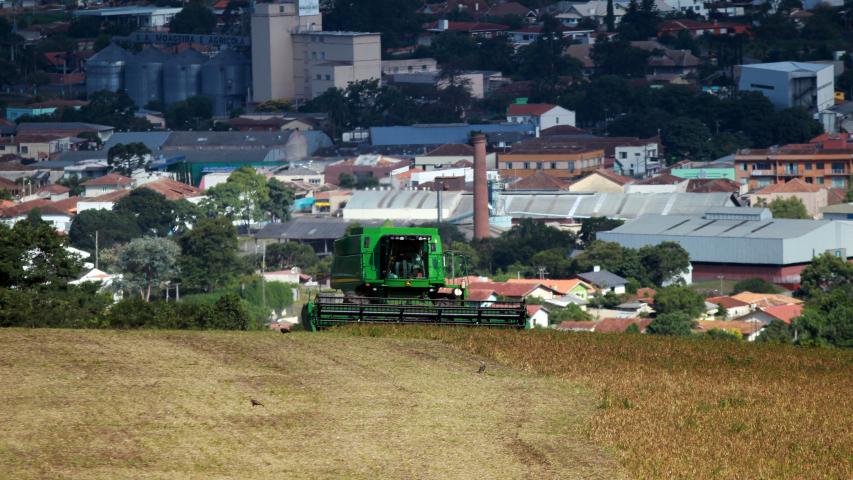 Paraná tem terceira maior alta do País na previsão da safra de setembro, aponta IBGE