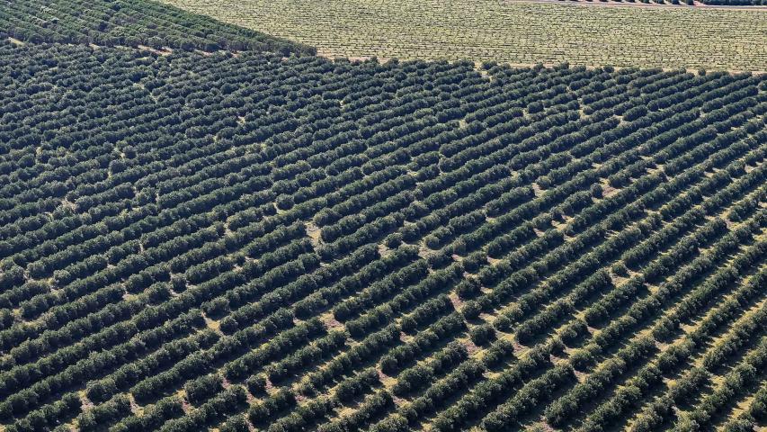 Paraná é o estado que mais destinou recursos para a agricultura em 2025