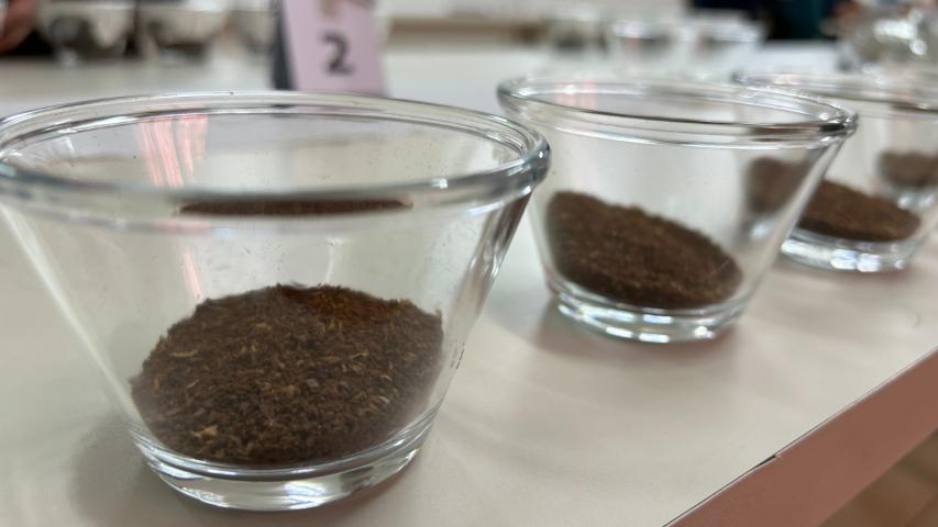 IDR-Paraná abre inscrições para curso de classificação e degustação de café