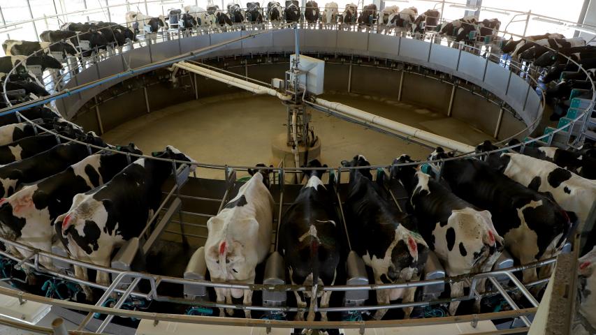 Governador sanciona lei que proíbe reconstituição de leite em pó importado no Paraná